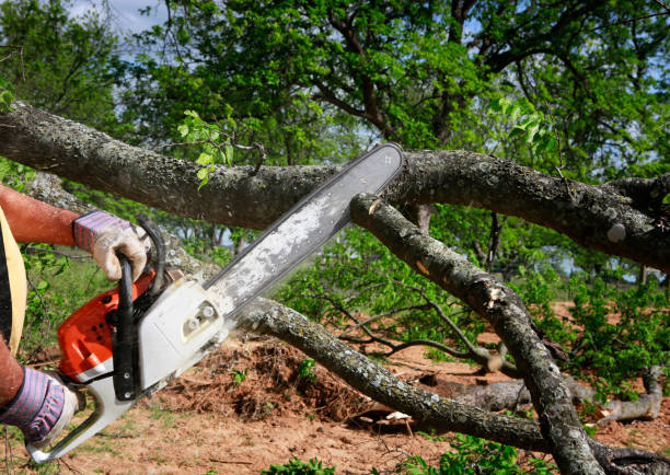 Mulching Services in Peshtigo, WI